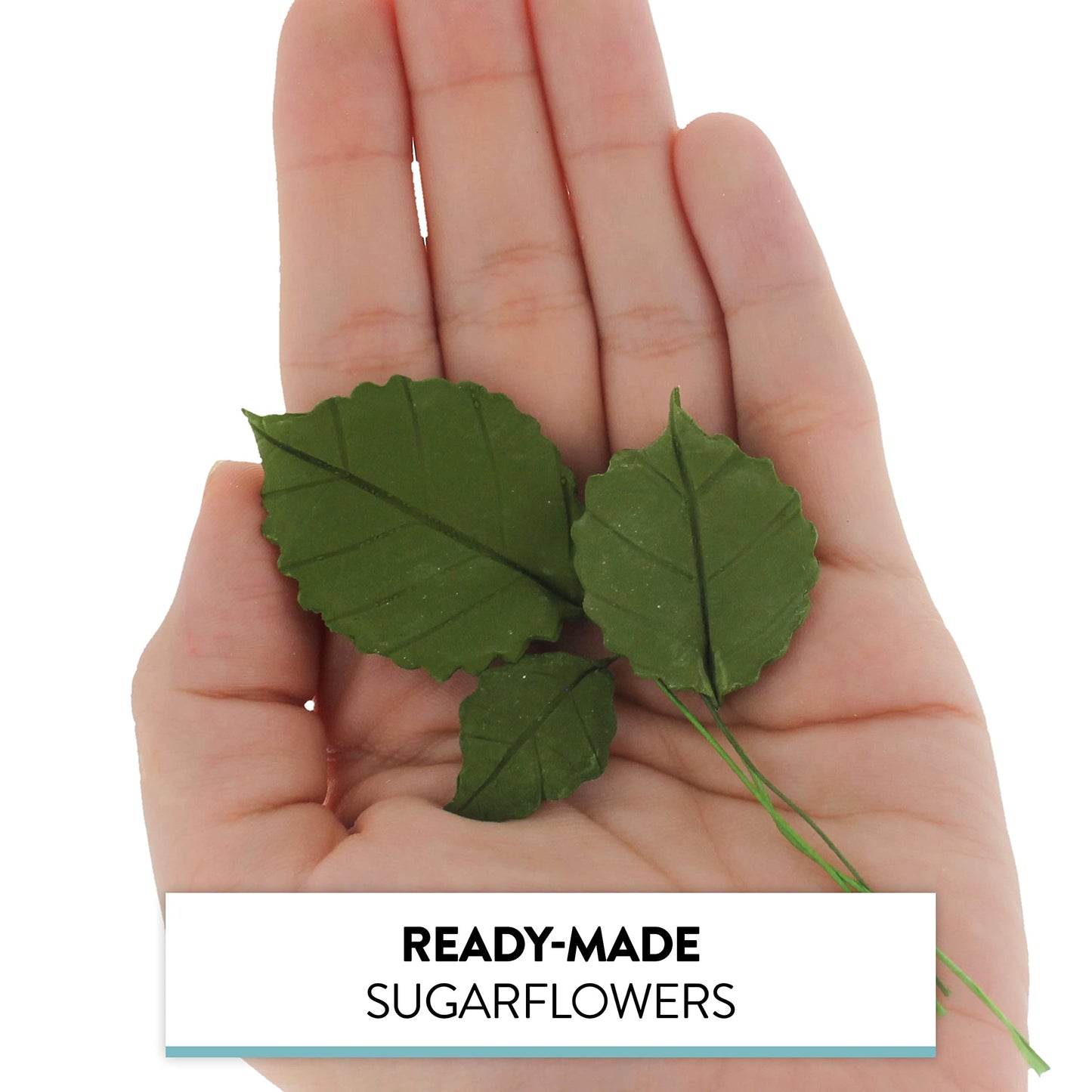 Global Sugar Art Rose Leaf Dark Green Sugar Cake Flower, 3 Sizes, 120 Count By Chef Alan Tetreault