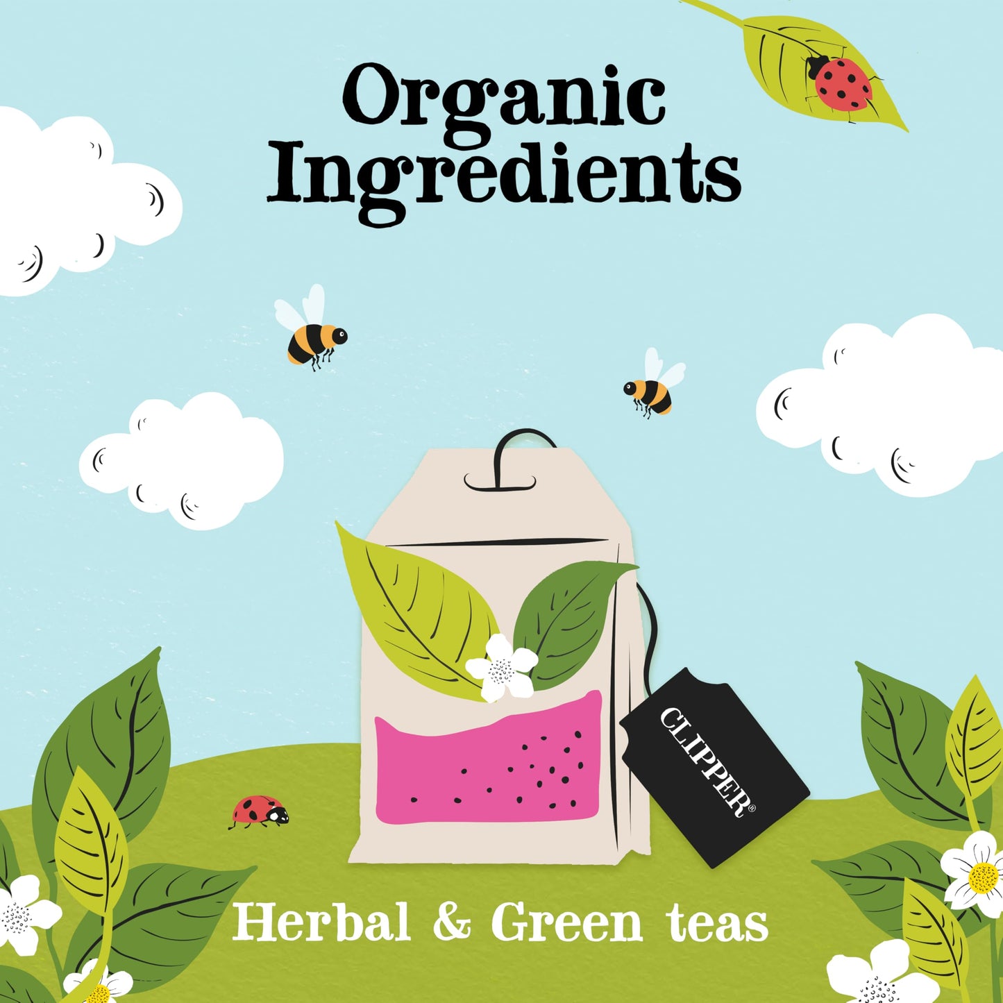 Clipper Tea Organic Herbal & Green Tea Selection/Sampler, Gift Box - Eco Friendly, Self Care, Fair Trade. Assorted Individually
