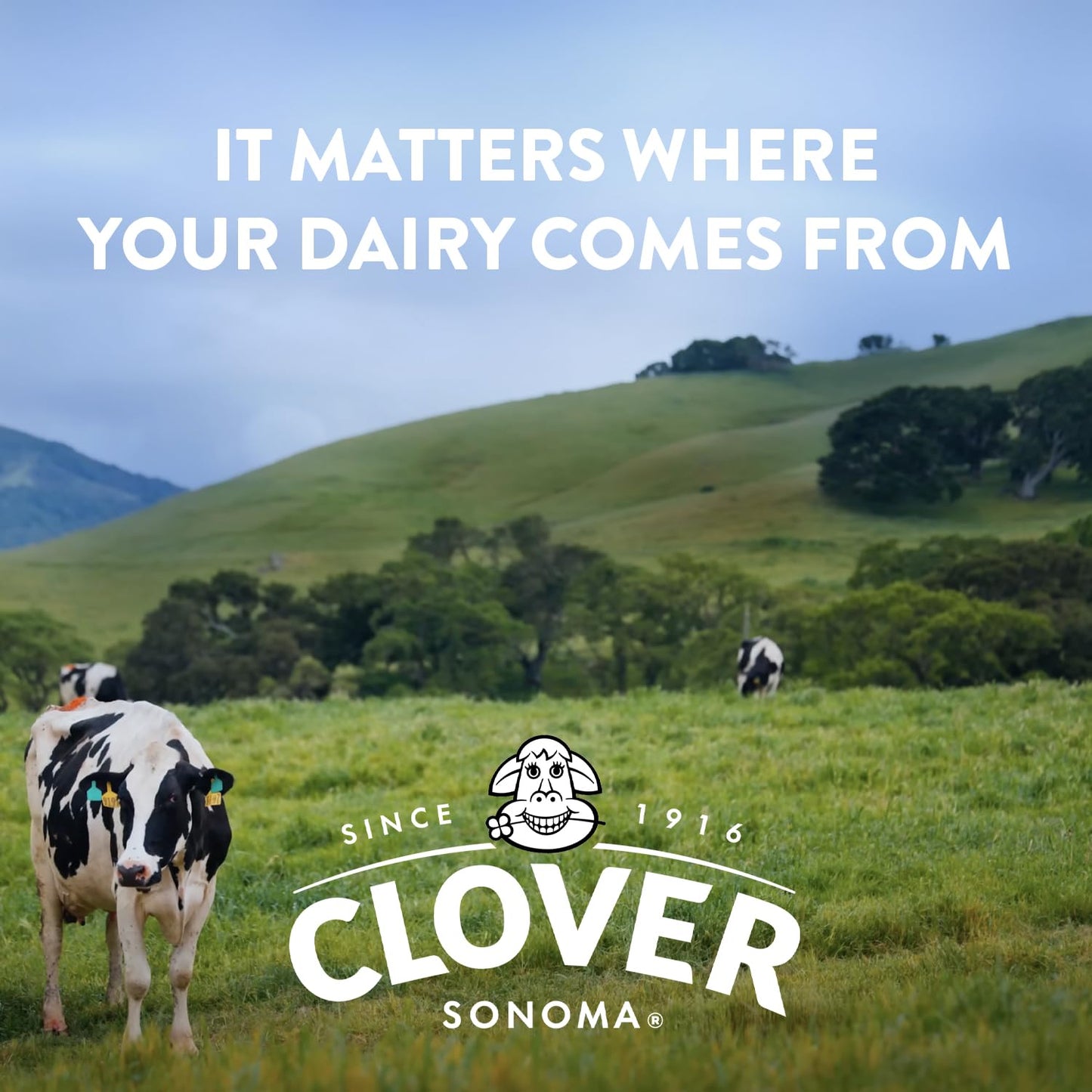 Clover Sonoma, Organic Whole Milk, Half Gallon, 64 oz