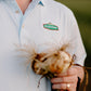 Vidalia Brands Sweet Onion Petals, Baked Crunchy Snack, Made with Real Vidalia Onions, Gluten-Free, Delicious Golden-Baked Chips