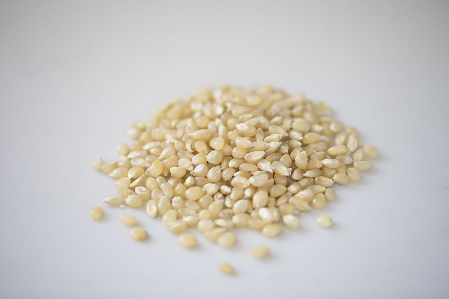 Amish Country Popcorn | 2 lb Bag | Baby White Popcorn Kernels | Small and Tender | Old Fashioned, Non-GMO and Gluten Free (Baby