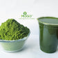 MOGO Organic Moringa Powder, Antioxidant Rich Superfood, 16 Ounce
