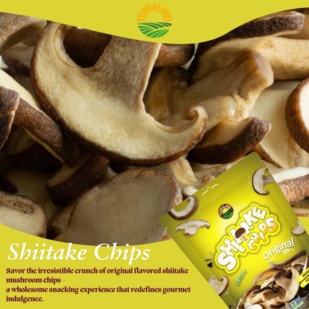 Terraland Shiitake Chips - Original, Crispy & Crunch Mushroom Ready To Eat Snack, Non Gmo, Rich Umami Flavor, Topping For Salads