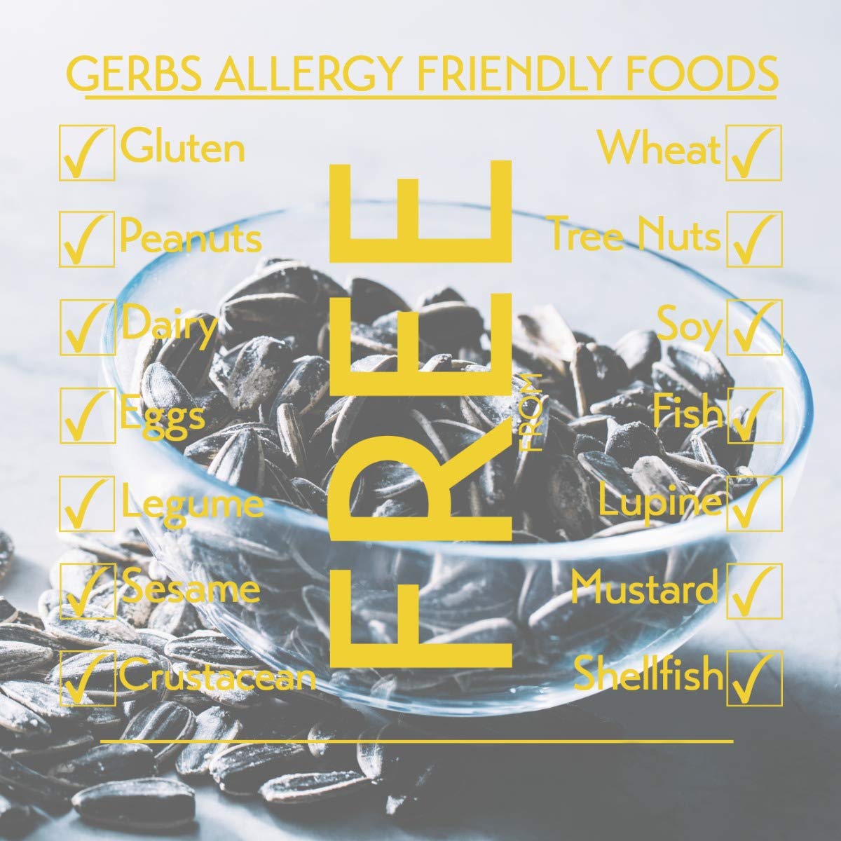 GERBS Raw Whole Sunflower Seeds, 2 lbs Resealable Bag, Top 14 Allergy Free Healthy Snack, Grown in USA