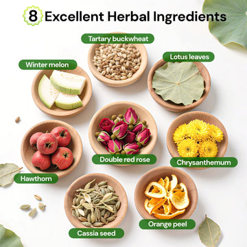 Tiucm Winter Melon Lotus Leaf Tea - 100% Natural Herbal Teabags, 60 Count, Traditional Chinese Formula, 2 Pack