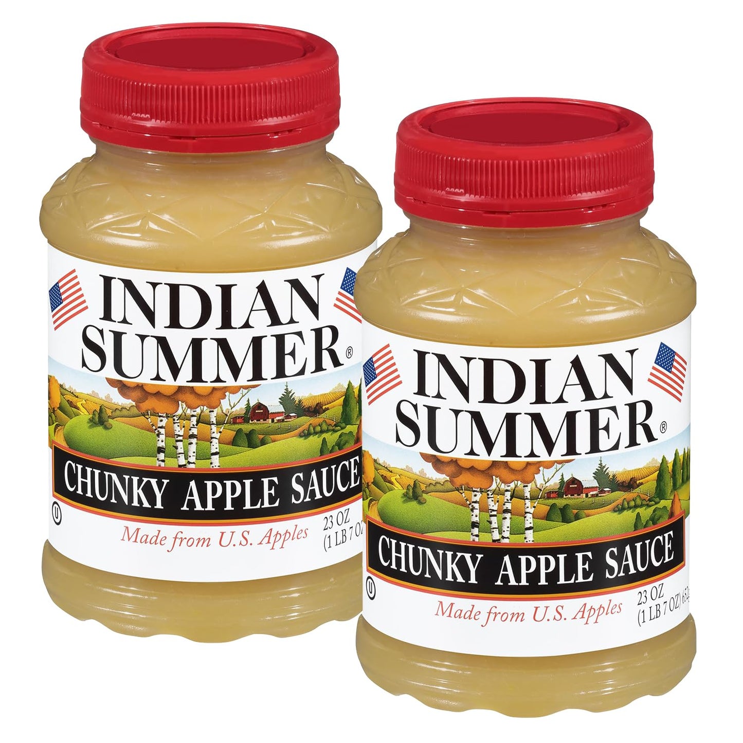 INDIAN SUMMER Chunky Applesauce Made from US Apples, 24 Ounce (Pack of 2)