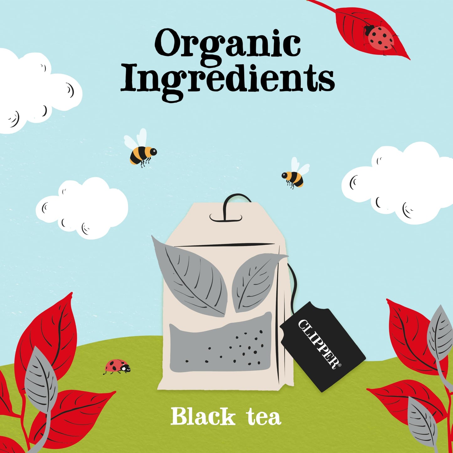 Clipper Tea, English Breakfast Assam Blend, Fairtrade, Organic, Plant-Based, Caffeinated British Tea, 4 Pack, 320 Unbleached Tea