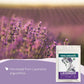 Super Value Pack 5 LB - Organic Food Grade Lavender Buds - Lavender Tea Bulk - Lavandula Angustifolia - Edible Lavander for Drin
