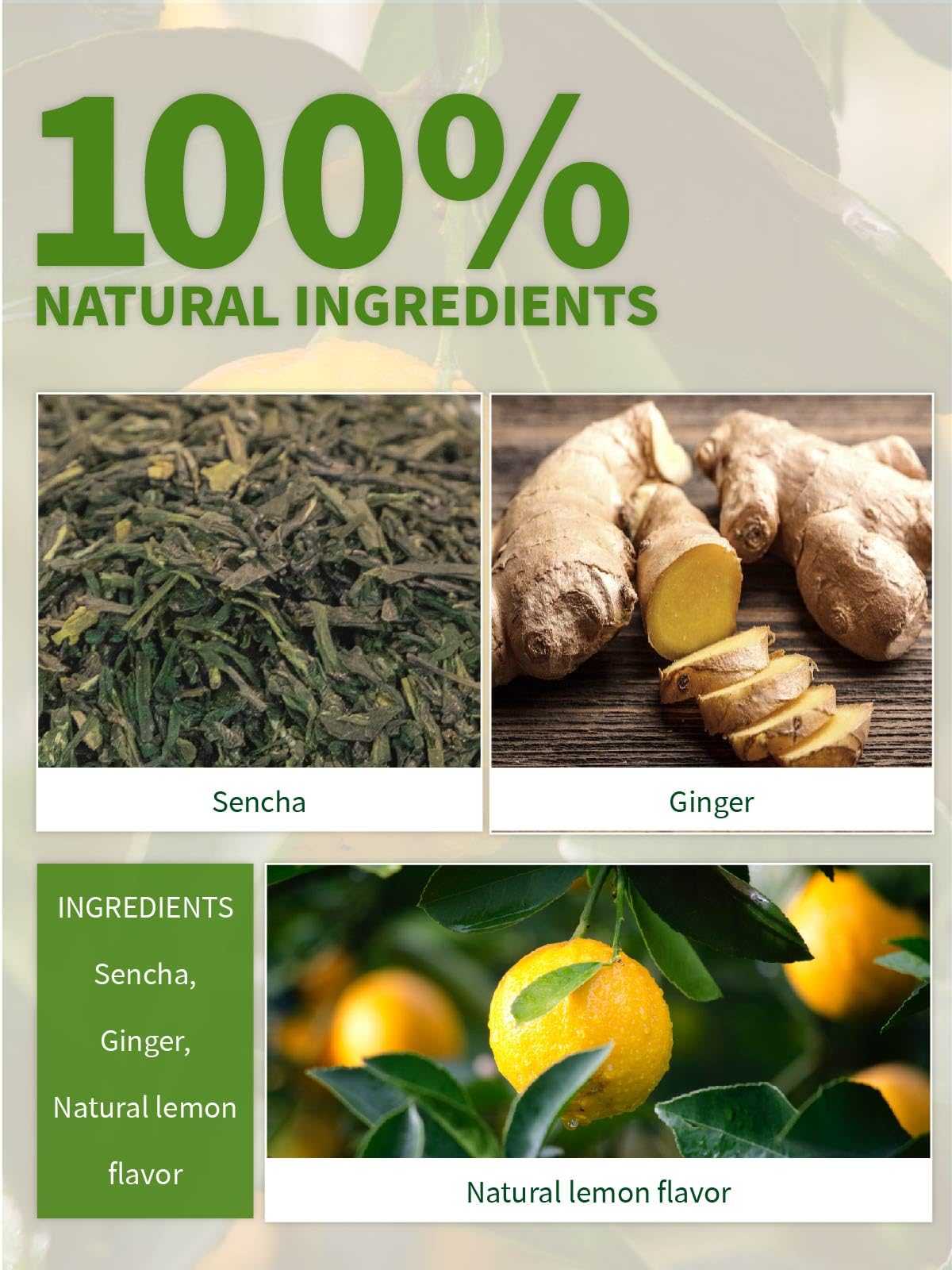 TeeLux Lemon Ginger Green Tea, Zesty Flavor, Low Caffeine, 100 Count