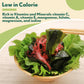 Besway Wakame Seaweed 6 Oz, 100% Nature Dried Seaweed For Seaweed Salad, Flavorful Soups & Stews, Healthy Dried Vegetables Non-G