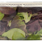 Whole Foods Market, Organic Sweet Baby Lettuces, 5 oz