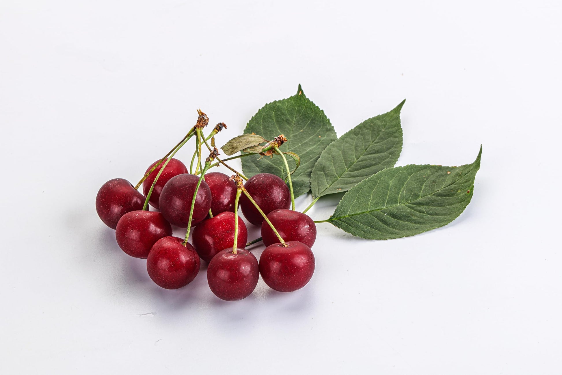 Fresh Red Cherries by RawJoy Farms