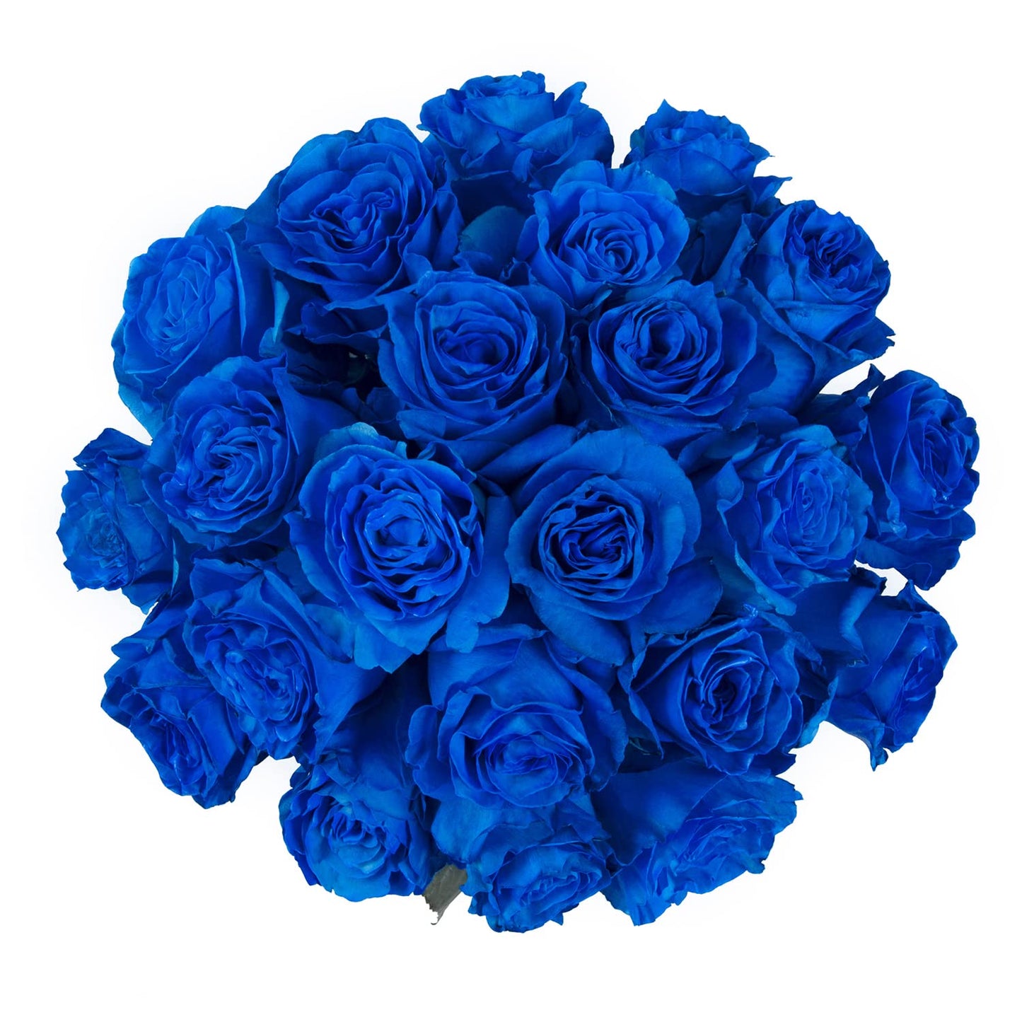 Bloomingmore | Farm Fresh | Natural Tinted Blue Roses | 100 Stems - 20 In | Home, Office, Wedding Decor, Diy, Party Event, House