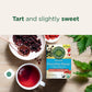 Traditional Medicinals Tea  Organic Everyday Detox Schisandra Berry  Supports Healthy Liver Function  Detox  16 Tea Bags (Pack of 2)