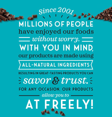 Enjoy Life Dark Chocolate Morsels, Vegan & Allergy Friendly, 9 Oz (Pack of 6), Gluten Free, Dairy Free, Nut Free, Kosher, Brown