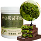 Pistachio Cream Paste with Dried Shredded Fillo Dough for Dubai Chocolate Bar - Authentic Quick Sweet Snack, Ideal Stuffed Desse