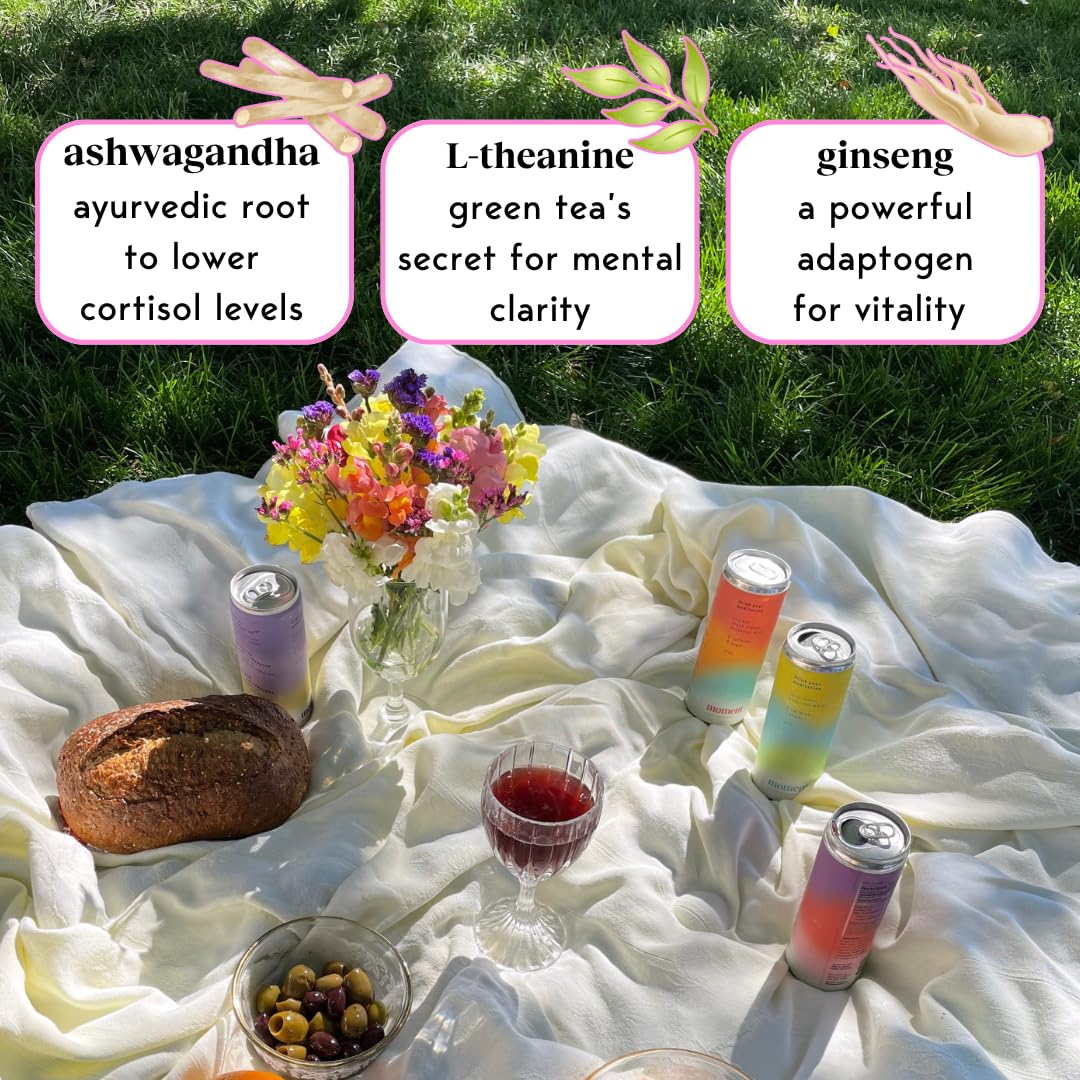 Drink Your Meditation Sparkling Plum Spritz Non-  ic Drink, 11.5 Fl Oz, 12-Pack, with L-Theanine & Ashwagandha, No Added Sugar