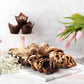 Chocolate Babka Bread | Hungarian Chocolate Babka Cake | Chocolate Cake | Baked Fresh Daily | Kosher, Dairy Free & Nut Free | 16
