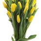 Blooms2Door Yellow Tulips - 20 Farm-Fresh Flowers - Fall Collection - Model KBDF1230-V999-A999