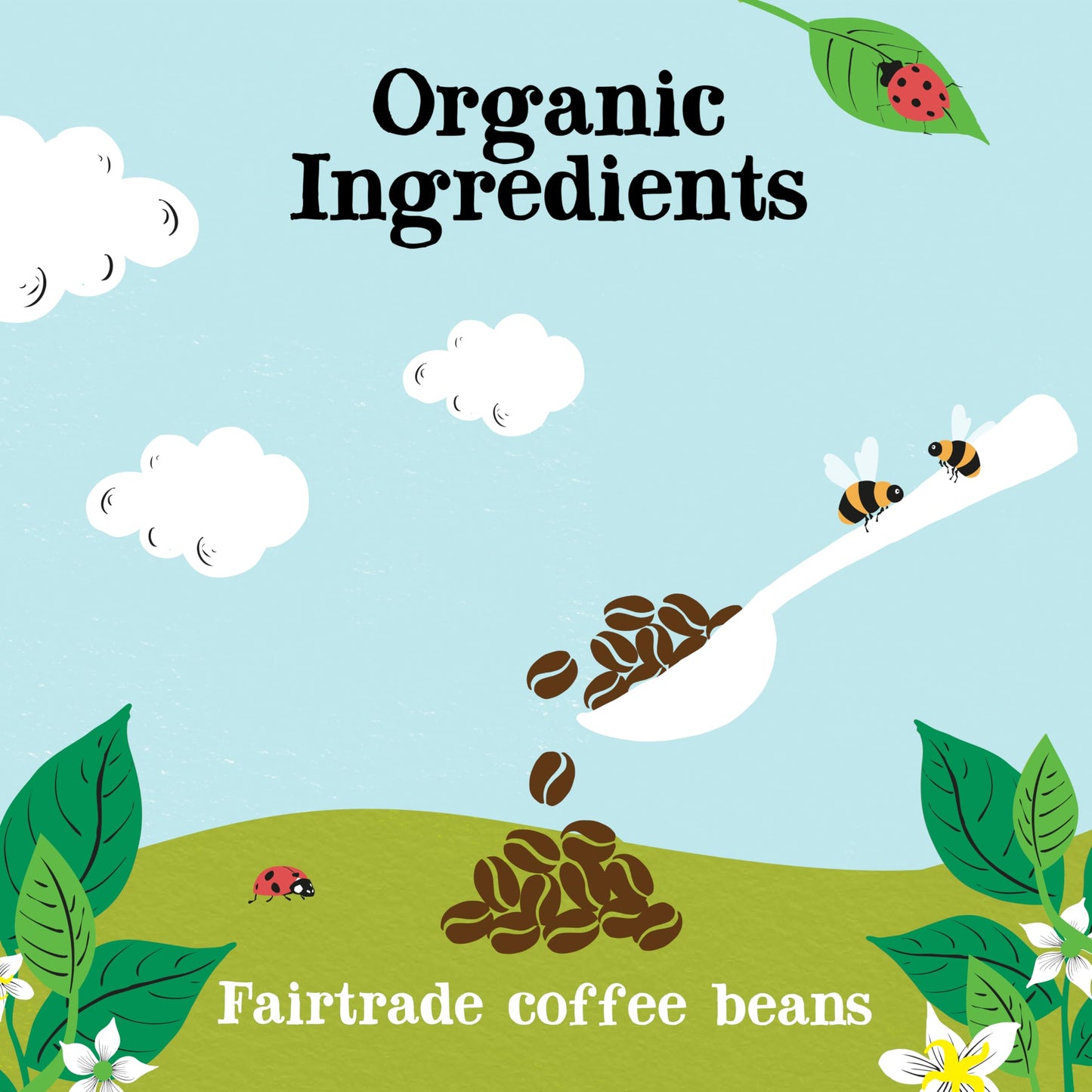 Clipper Coffee Organic Instant Coffee – Medium Roast, Freeze-Dried, Ethically Sourced, 100g (3.53oz) – Fair Trade Quality