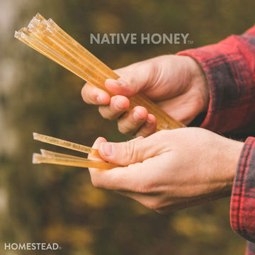 Homestead Honey Native Honey Sticks For Tea, Honey Packets Single Serve Honey Straws Stir Sticks, Honey Packets Honey Stick, Hon