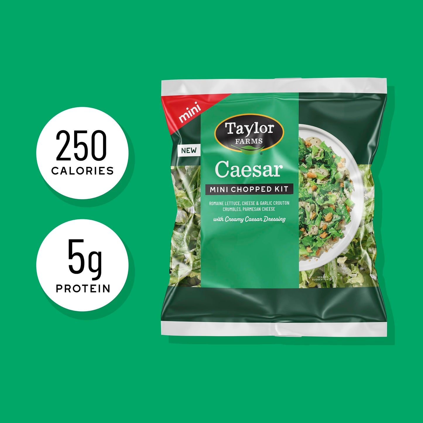 Taylor Farms Caesar Mini Chopped Salad Kit 4.42oz