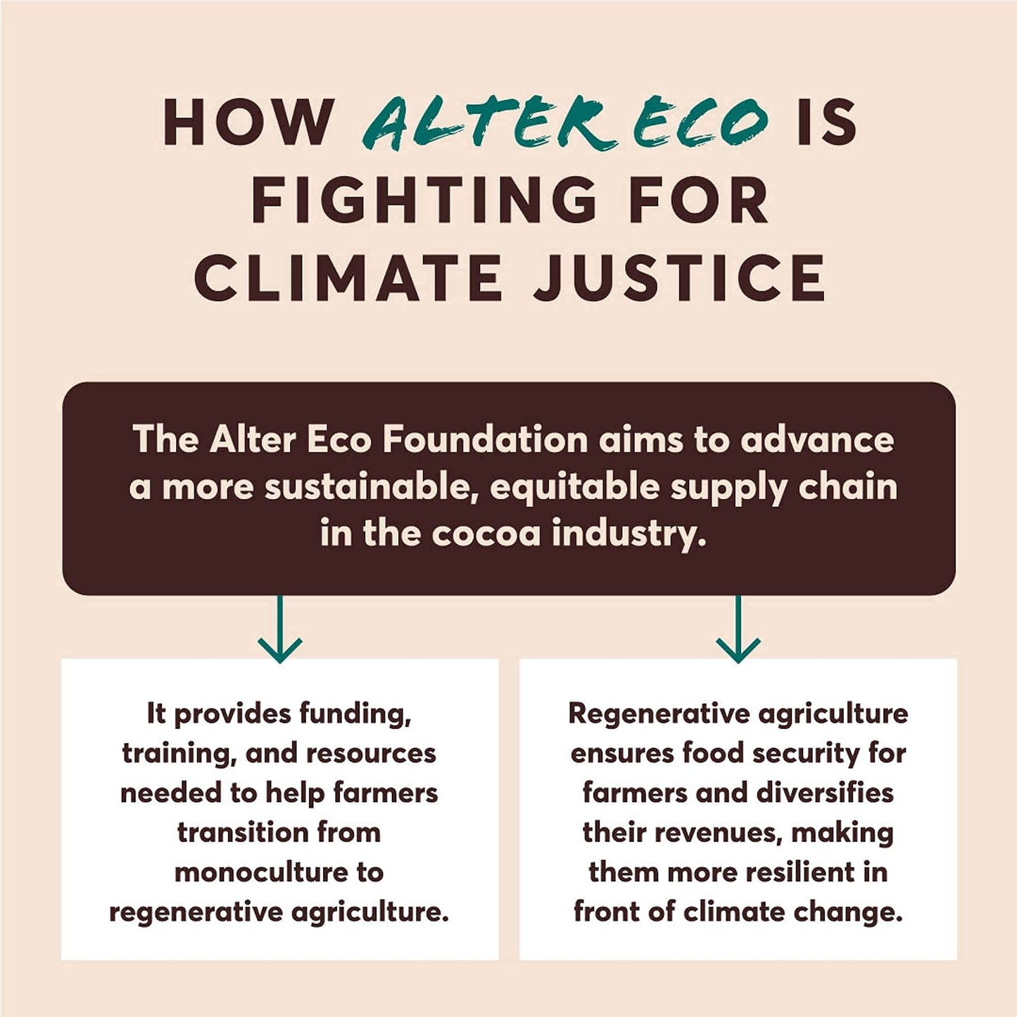 Alter Eco |Classic Dark Chocolate Truffles | Pure Dark Cocoa, Fair Trade, Organic, Non-Gmo, Gluten Free | 40 Truffles