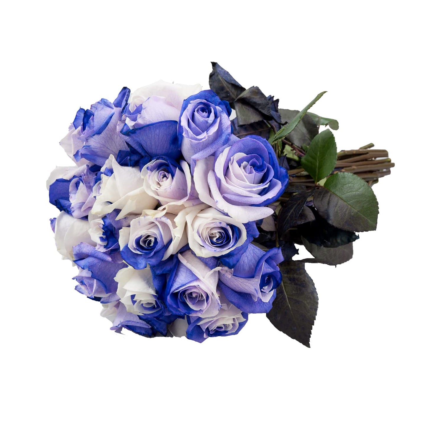 Blommingmore | Farm Fresh Natural | Tinted Purple And White Roses | 50 Stems | Home, Office, Wedding Decor, Diy, Party Event, Ho