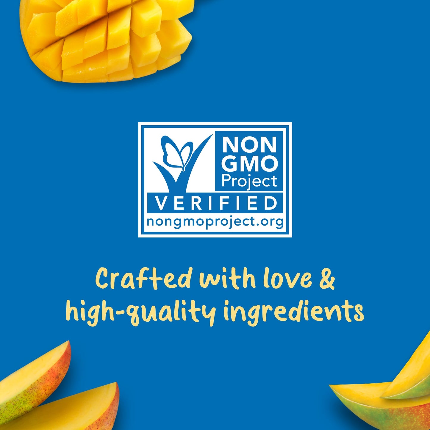 Gerber 2Nd Foods Baby Food, Mango, 3.5 Oz Pouch (Pack Of 12)