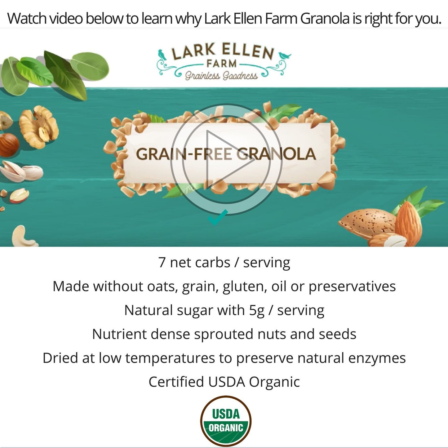 Lark Ellen Farm Grain Free Paleo Granola Bites Certified Organic Vegan Snacks and Cereal made from Sprouted and Activated Nuts a