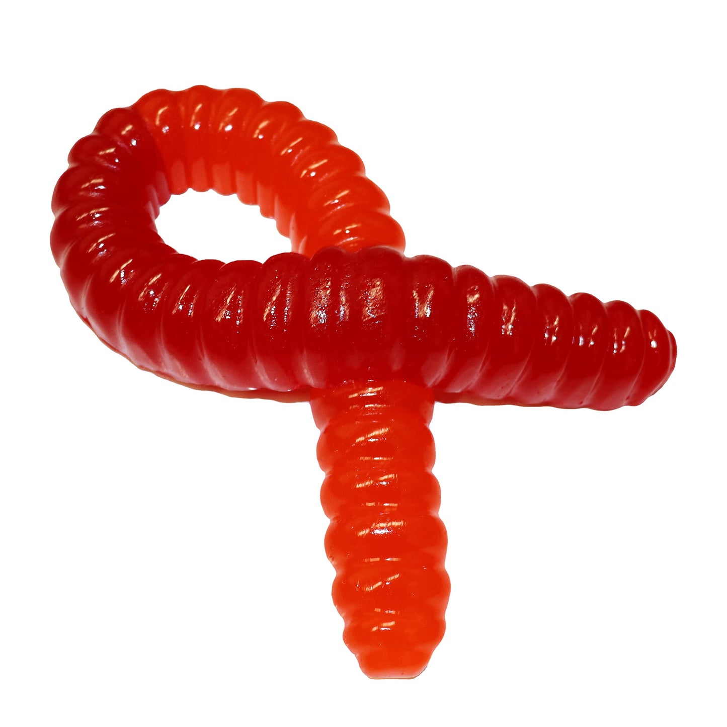 The Gummy Bear Guy | Worlds Largest Gummy Worm - (Cherry/Orange)