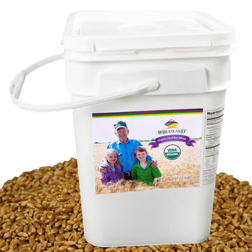 Wheatland Organic Hard Red Wheat Berries  20Lb Bucket, Sealed In Mylar  Emergency Food Storage  Grown By Family Farmers In Utah/