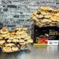 Shiitake Mushroom Grow Kit (5.5lbs) Grow Your Own Mushrooms at Home | Easy Indoor Grow Bag Kit
