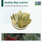 Soeos Bay Leaves Dried Herbs, Whole Bay Leaves, 1 lb (454g) Bulk Packaging