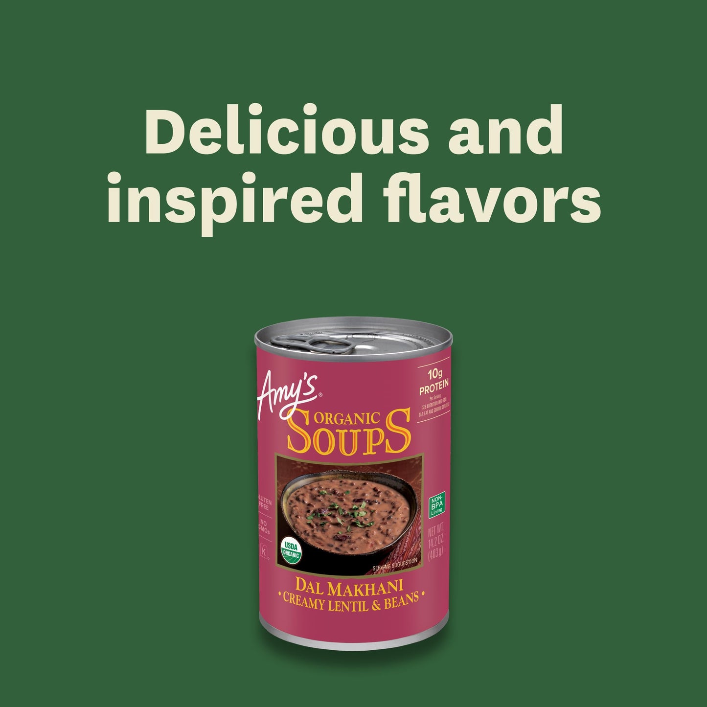 Amy'S Dal Makhani Creamy Lentil & Beans Soup, Kosher, Usda Certified Organic, Gluten Free & Non-Gmo, 14.2 Ounce (Pack Of 12)