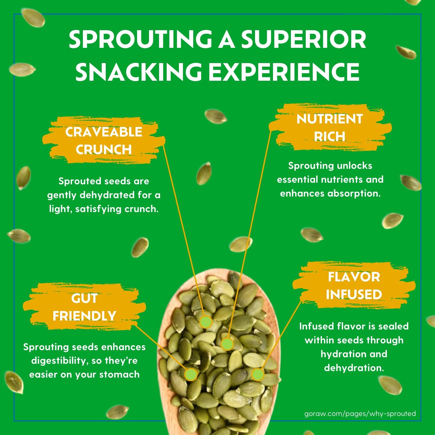 Go Raw Mixed Seeds, Pumpkin, Sunflower & Watermelon Seeds with Sea Salt, Bag Keto Vegan Gluten Free Snacks Organic, Mixed Salted