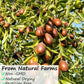 Premium Jujube Red Dates 3Lb/1359G,Selected Dried Fruit,Big & Delicious,100% Natural ??