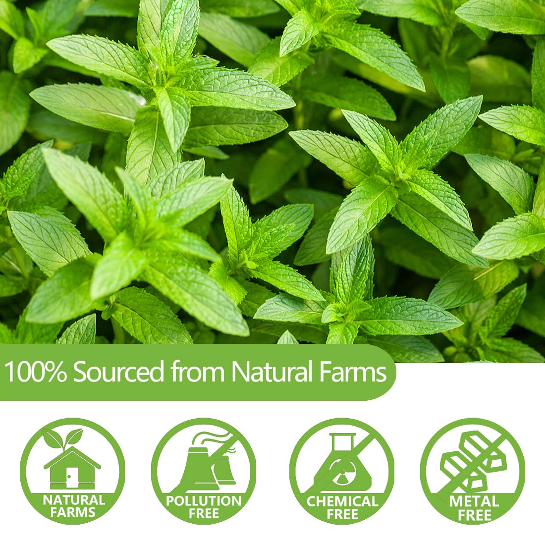 ULTHMOK Premium Peppermint Tea Bags, 100 Count, 100% Natural Peppermint Leaves, Caffeine-Free, No Additives