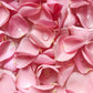 govedic Rose Water for Cooking  Baking  Cocktails | 100% Food Grade Rose Water | Face & Hair Care | Steam-Distilled Edible Damask Rose | 100 ml 3.38 Oz