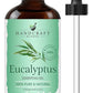 Handcraft Eucalyptus Essential Oil - 100% Pure And Natural - Premium Therapeutic Grade Essential Oil For Diffuser And Aromathera