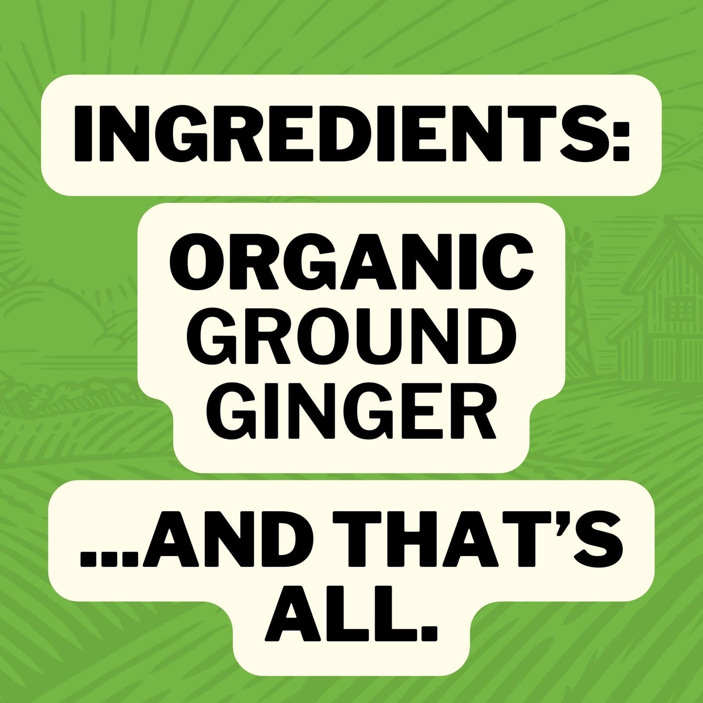 FreshJax Organic Spices Ginger Root Powder - Certified Organic, Gluten-Free, Kosher, 3.8oz Bottle
