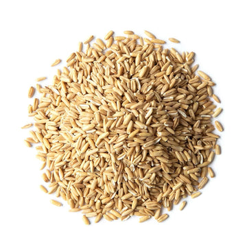 Food to Live Organic Oat Groats, 1 Pound - 100% Whole Grain, Non-GMO Seeds, Kosher, Raw, Non-Irradiated, Vegan, Bulk, Low Glycem