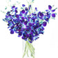 Premium Cut Purple Orchids (Support Small Business) (Blue, 10 Stems with Vase)