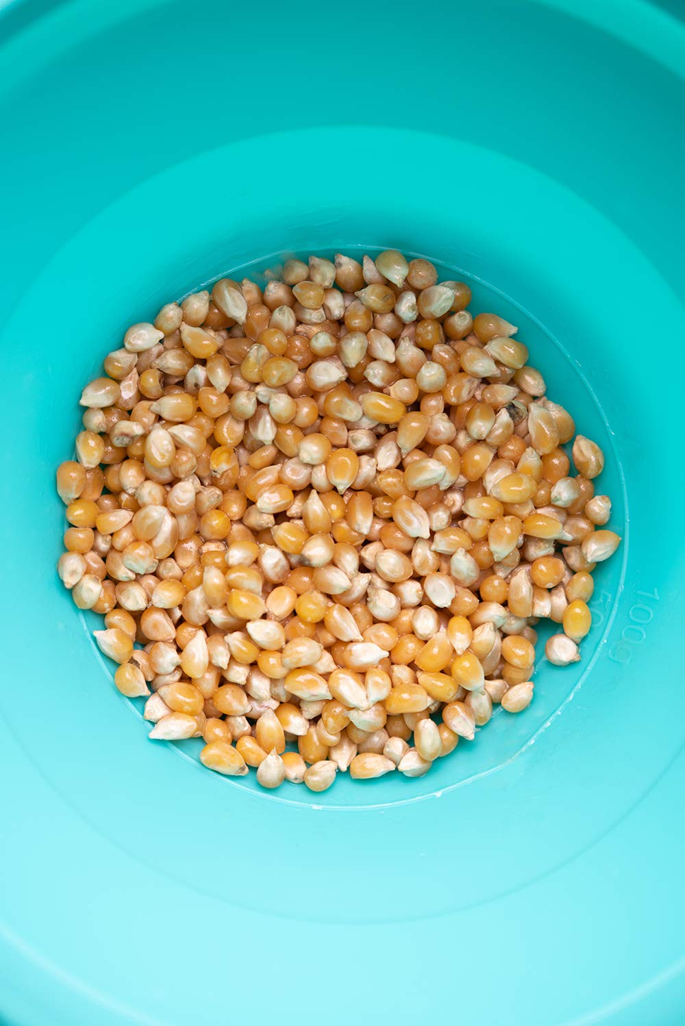 Amish Country Popcorn | Old Fashioned Microwave Popcorn | 10 Bags Ladyfinger Butter | Non-GMO, Gluten Free, Microwaveable and Ko