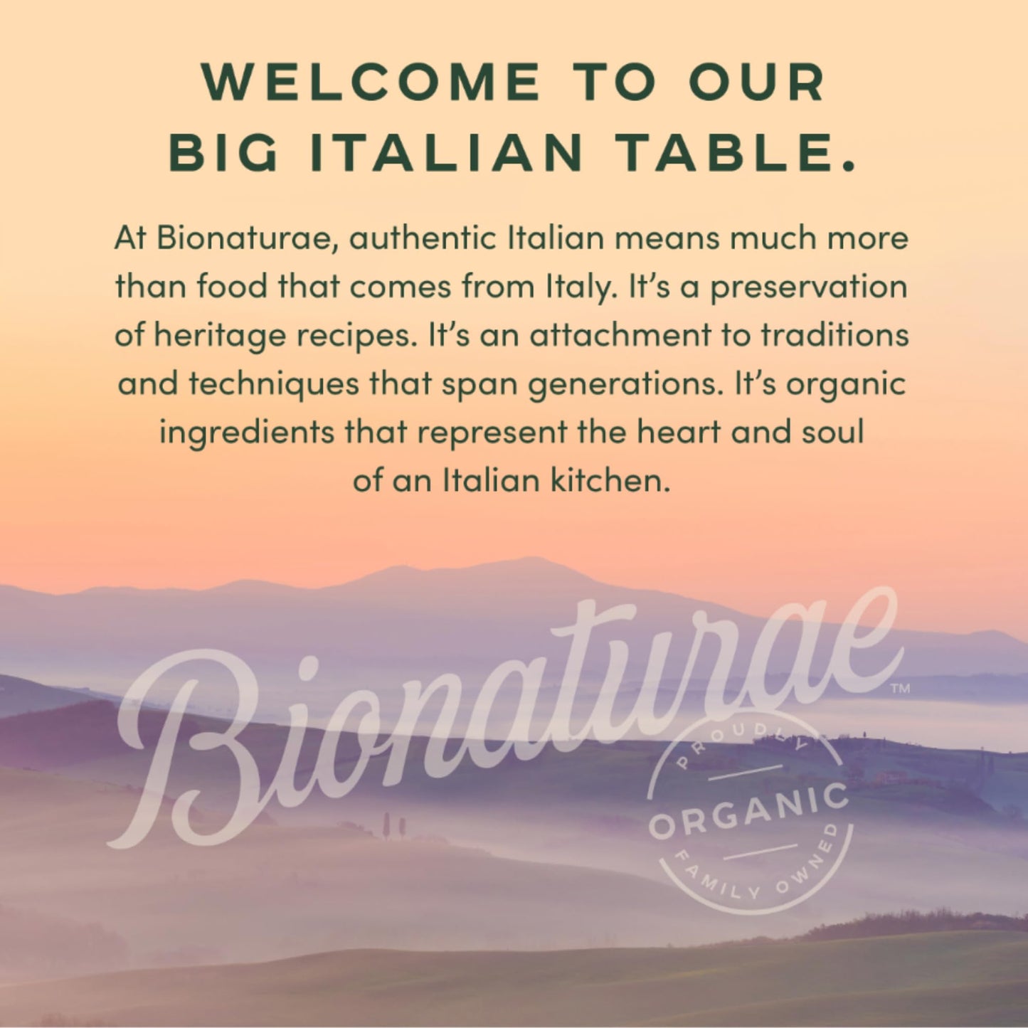 Bionaturae Sourdough Organic Fusilli Pasta - Italian Pasta Noodles  Spiral Pasta  Spiral Noodles  Fusilli Pasta Noodles  Corkscrew Pasta - 12 Ounce