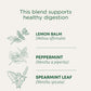 Traditional Medicinals Organic Peppermint Delight Tea, Probiotic, Pack of 6, 96 Tea Bags