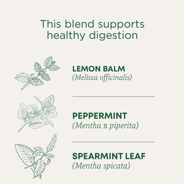 Traditional Medicinals Organic Peppermint Delight Tea, Probiotic, Pack of 6, 96 Tea Bags