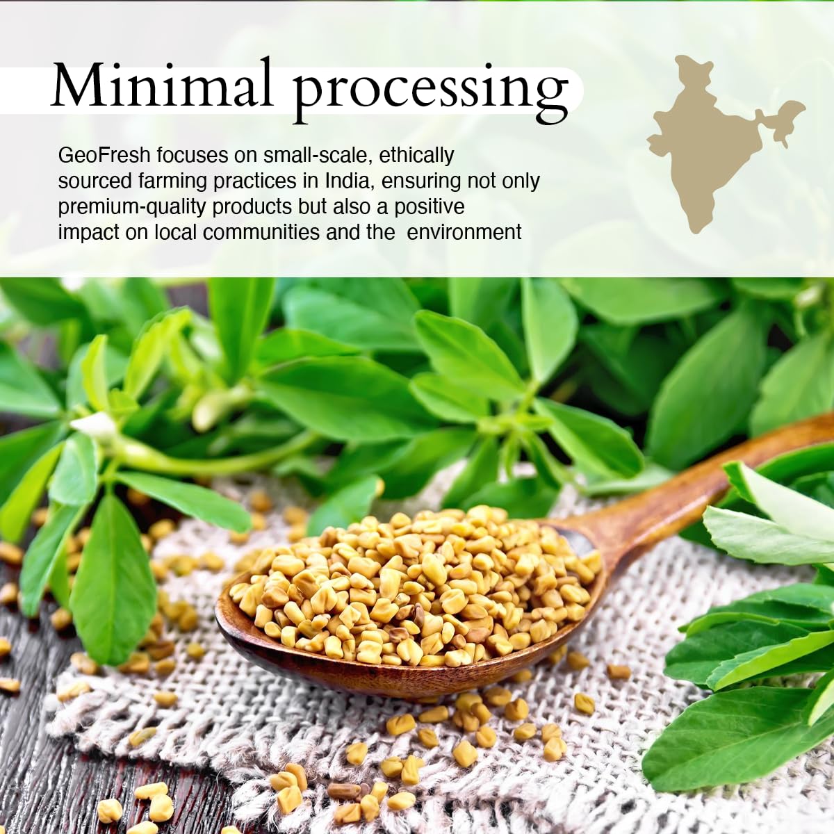 Geo-Fresh Organic Fenugreek Powder - 2.29 oz - Gluten-Free, Non-GMO, USDA Certified