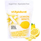 XyloBurst - Xylitol Mints | Sugar Free Breath Freshener for Oral Health | Gluten Free, Vegan, Keto Friendly | Aspartame Free | L