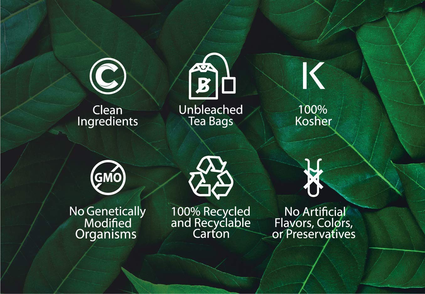 Buddha Teas Organic Herbal Tea - Horsetail - Caffeine Free - 18 Count (Pack of 1) - Non-GMO, Kosher, with B Vitamins & Antioxidants